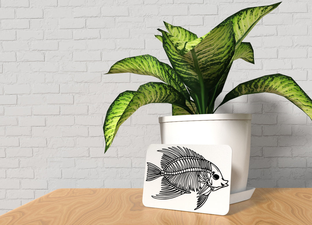 Nice Fish | Funny sign For Home or Office