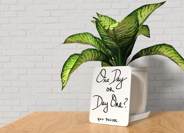 One Day or Day One You Decide | Funny Sign for Home or Office