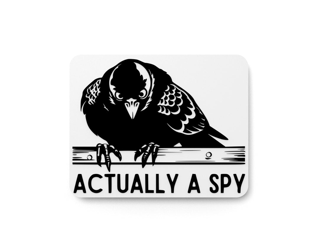 
  
  Actually A Spy | Funny sign For Home or Office
  
