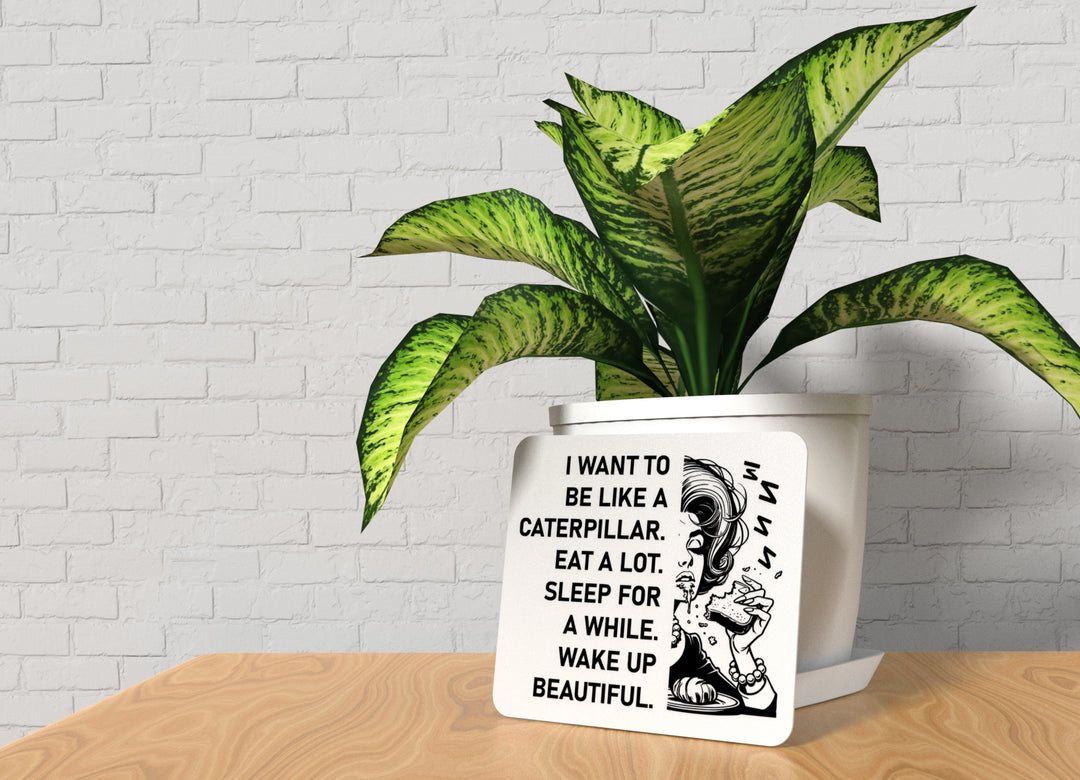 I Want To Be Like A Caterpillar Eat A Lot Sleep For A While Wake Up Beautiful | Funny Sign for Home or Office