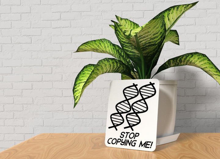 Stop Copying Me | Funny Sign for Home or Office