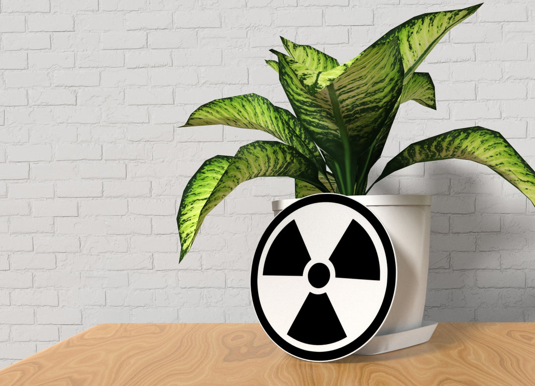 Fan | Funny Sign for Home or Office