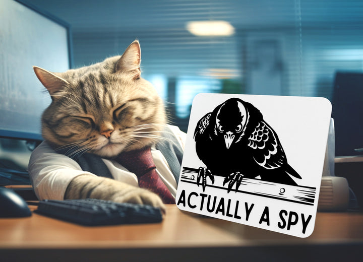 Actually A Spy | Funny sign For Home or Office