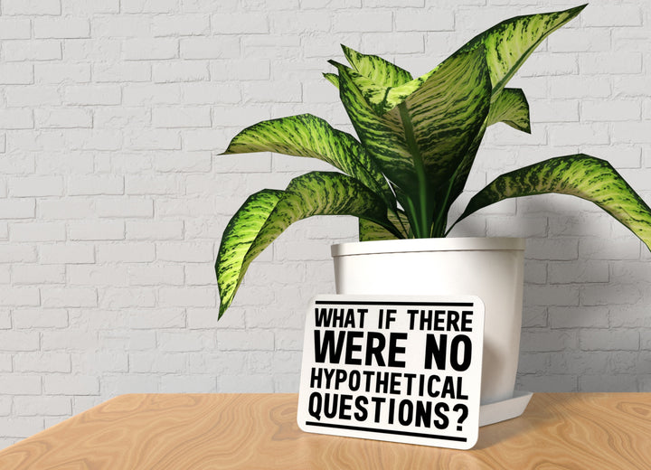 What If There Were No Hypothetical Questions | Funny Sign for Home or Office
