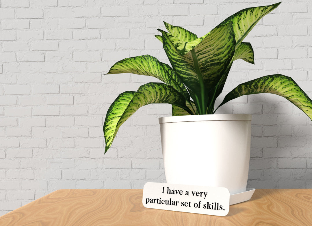 I Have A Very Particular Set Of Skills | Funny Sign for Home or Office