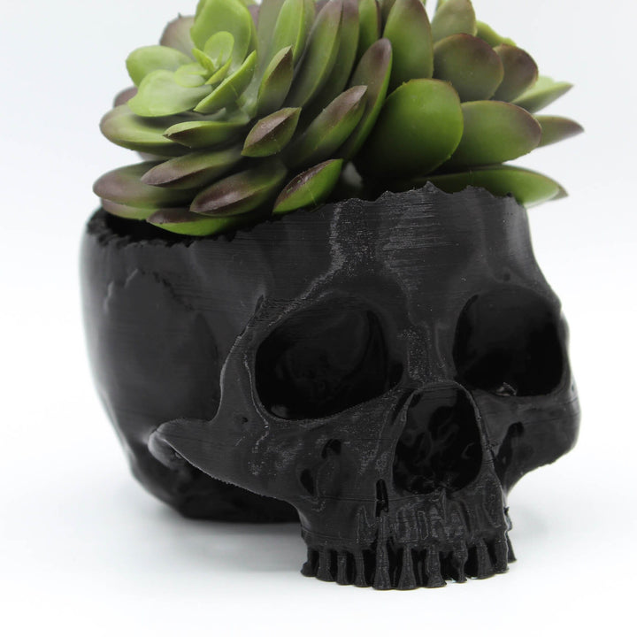 Real Looking Skull Succulent Planter | Macabre Elegance for Your Greenery