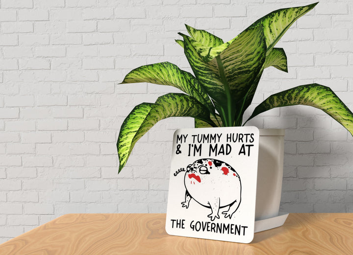 My Tummy Hurts & I'm Mad At The Government | Funny Sign for Home or Office
