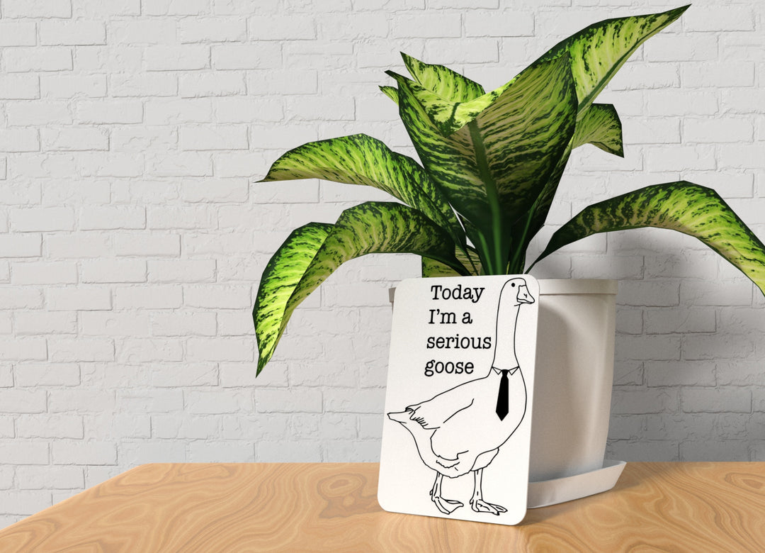 Today I'm A Serious Goose | Funny sign For Home or Office