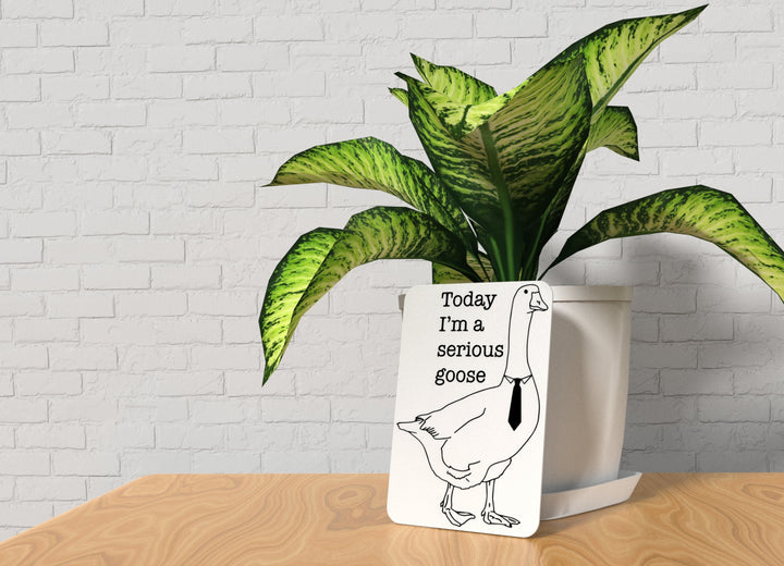 Today I'm A Serious Goose | Funny sign For Home or Office
