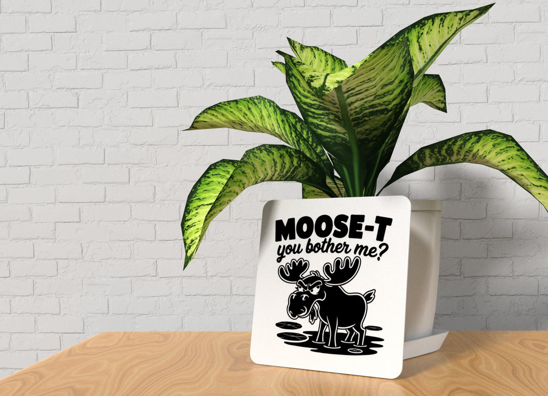 Mooset You Bother Me | Funny sign For Home or Office