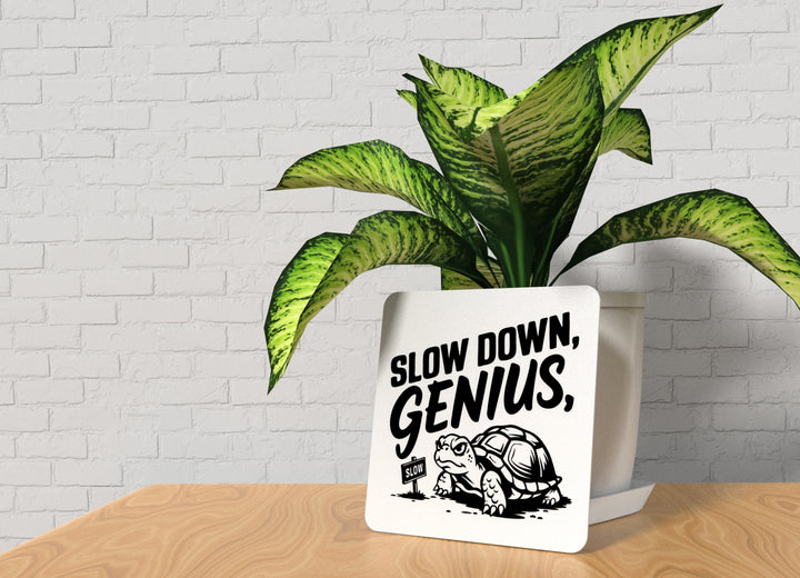 Slow Down Genius | Funny sign For Home or Office