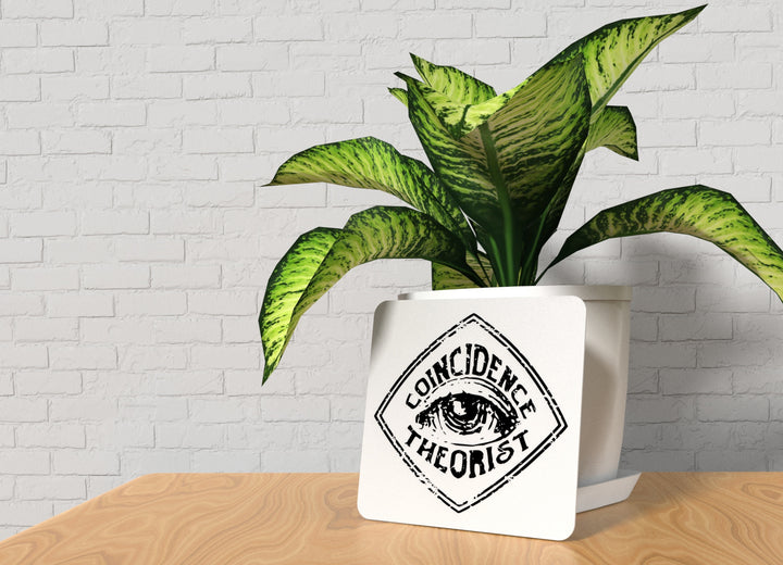 Coincidence Theorist | Funny Sign for Home or Office