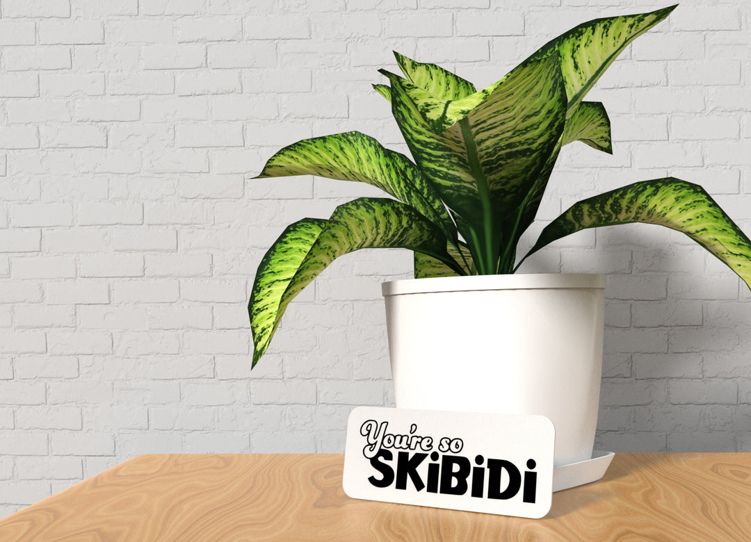 You're So Skibidi | Funny Sign for Home or Office