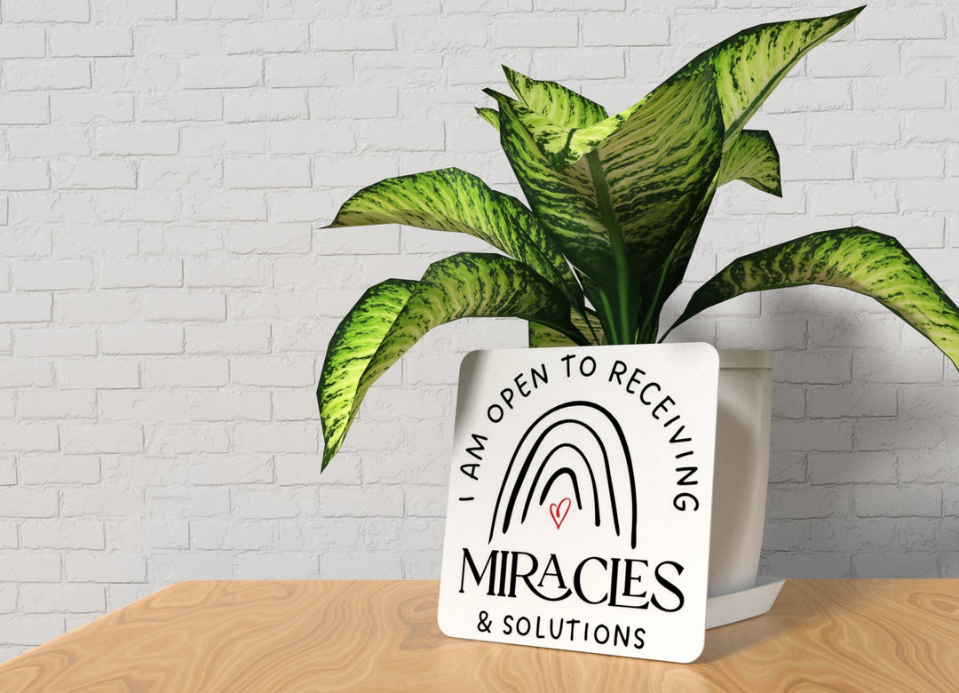 I Am Open To Receiving Miracles & Solutions | Funny Sign for Home or Office