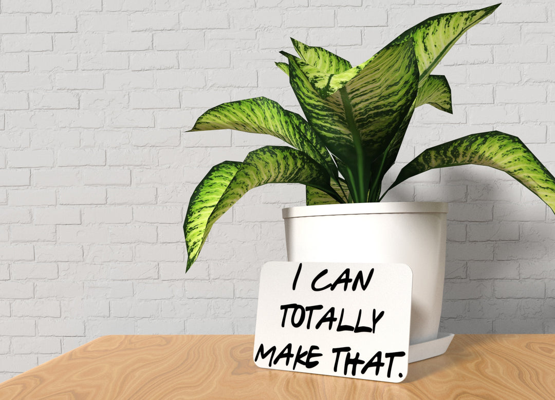 I Can Totally Make That | Funny sign For Home or Office