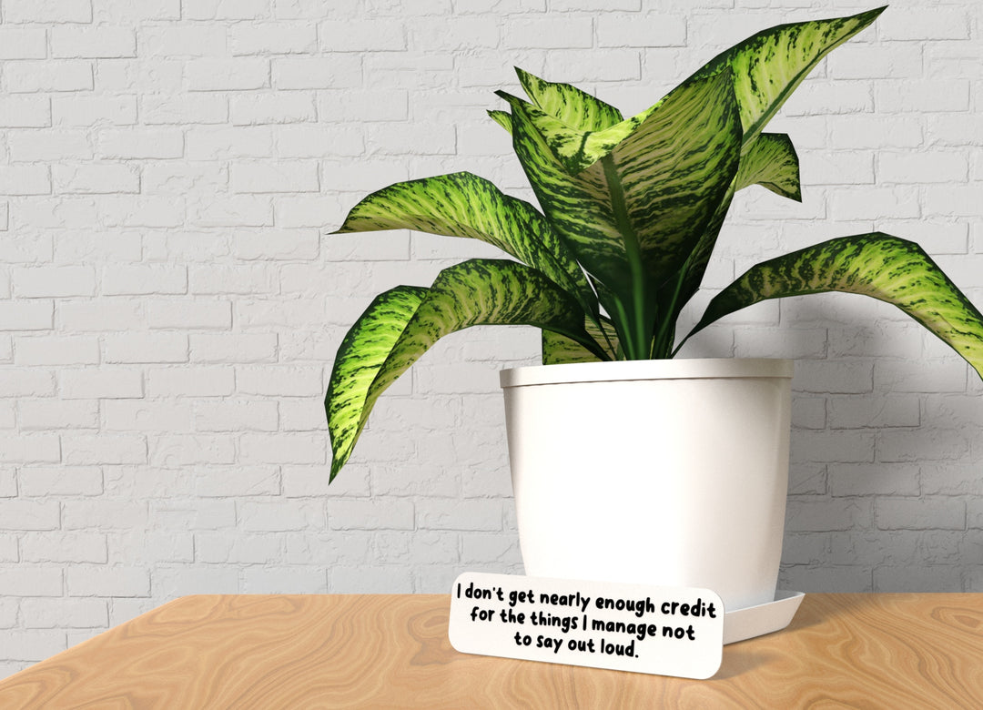 I Don't Get Nearly Enough Credit For The Things | Funny Sign for Home or Office