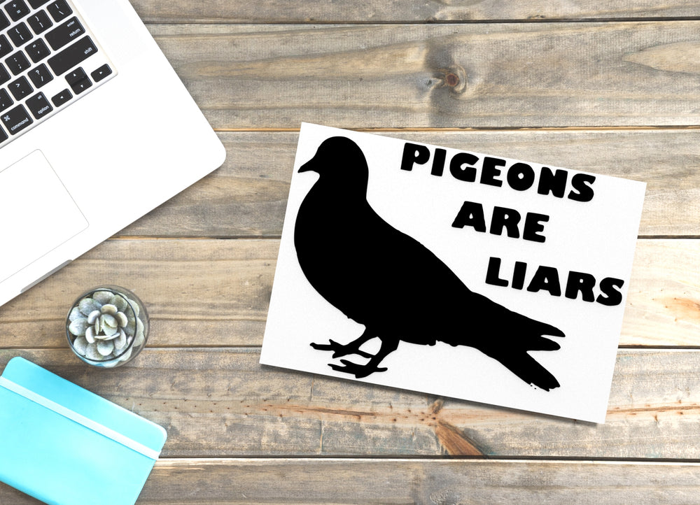 
  
  Pigeons Are Liars | Funny sign For Home or Office
  
