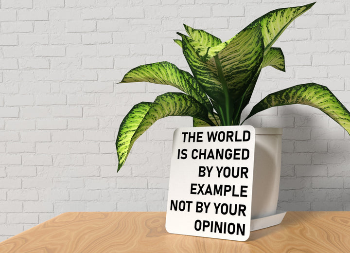 The World Is Changed By Your Example Not By Your Opinion | Funny Sign for Home or Office