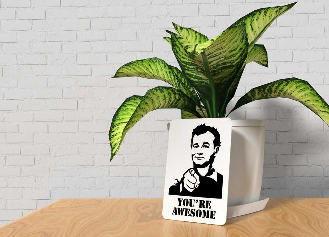You Are Awesome | Funny sign For Home or Office