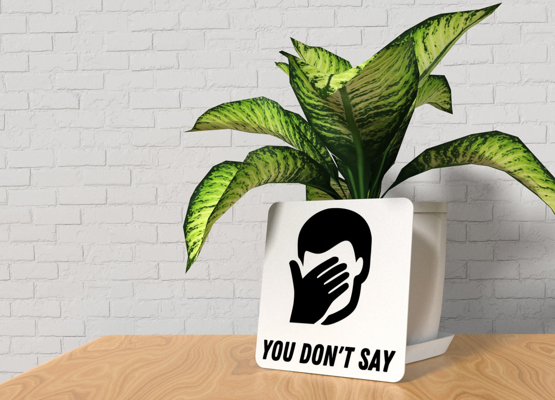 You Don't Say | Funny Sign for Home or Office