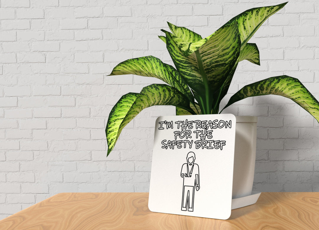 I'm The Reason For The Safety Brief | Funny Sign for Home or Office