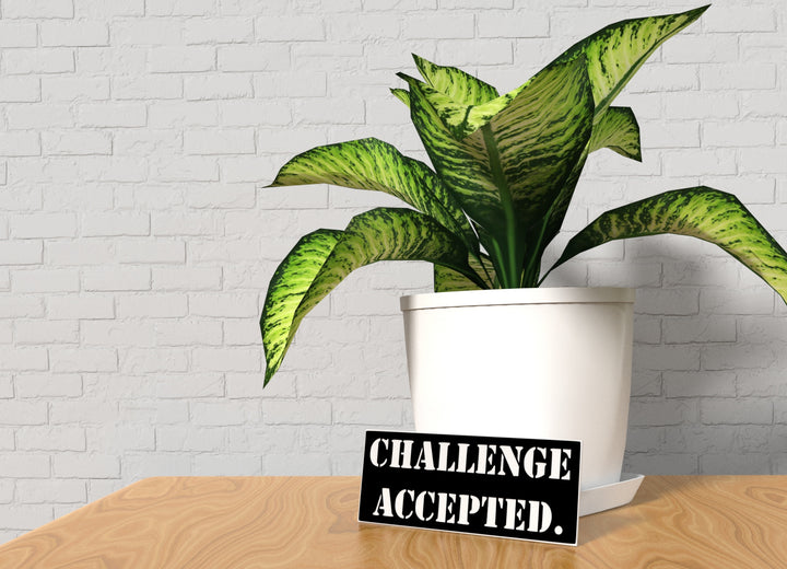 Challenge Accepted | Funny sign For Home or Office