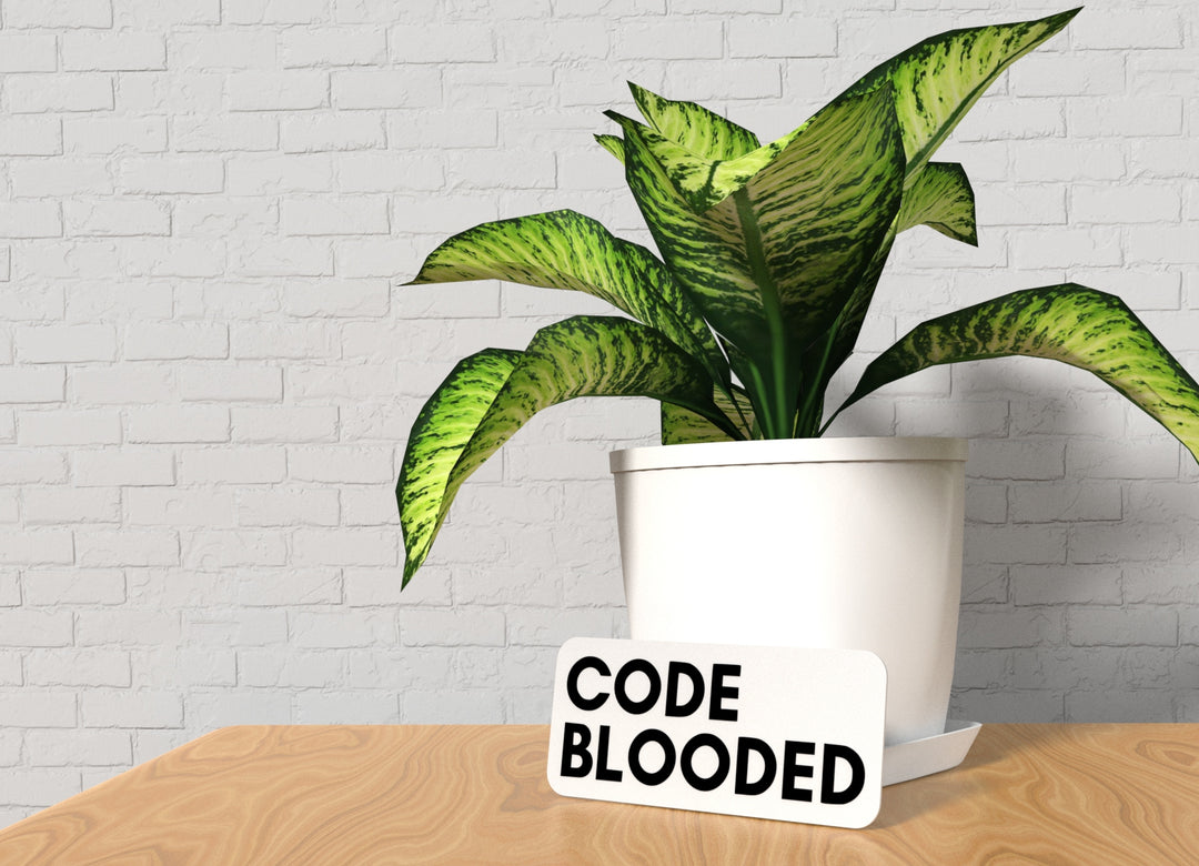 Code Blooded | Funny Sign for Home or Office