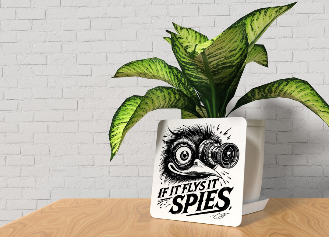 If It Flys It Spies | Funny Sign for Home or Office