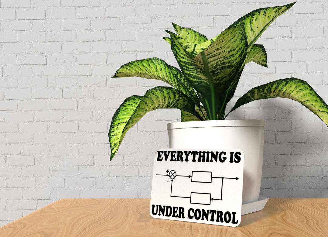 Everything Is Under Control | Funny sign For Home or Office