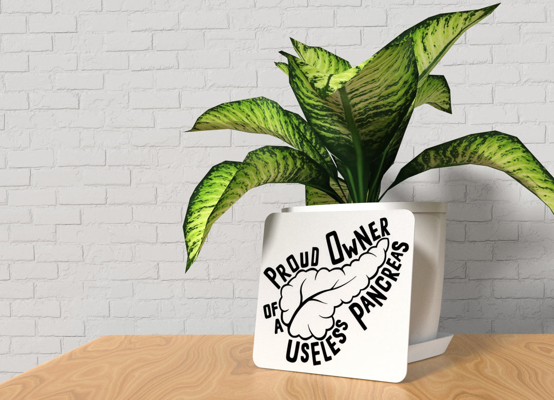 Proud Owner Of A Useless Pancreas | Funny Sign for Home or Office