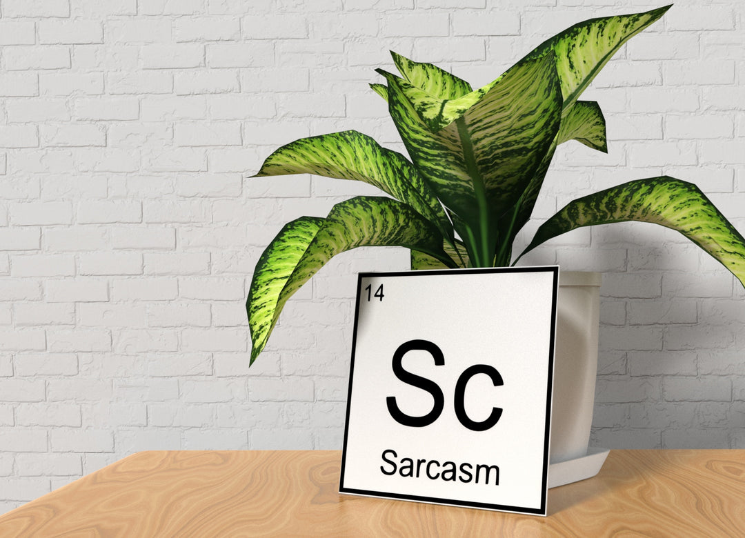 Sarcasm | Funny sign For Home or Office