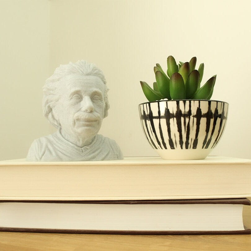 
  
  Albert Einstein Bust Figurine Statue
  
