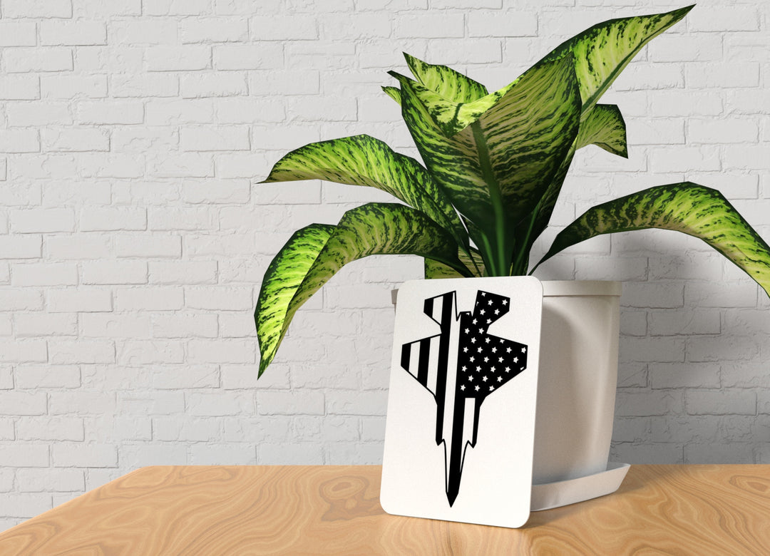 USA Rocket | Funny sign For Home or Office