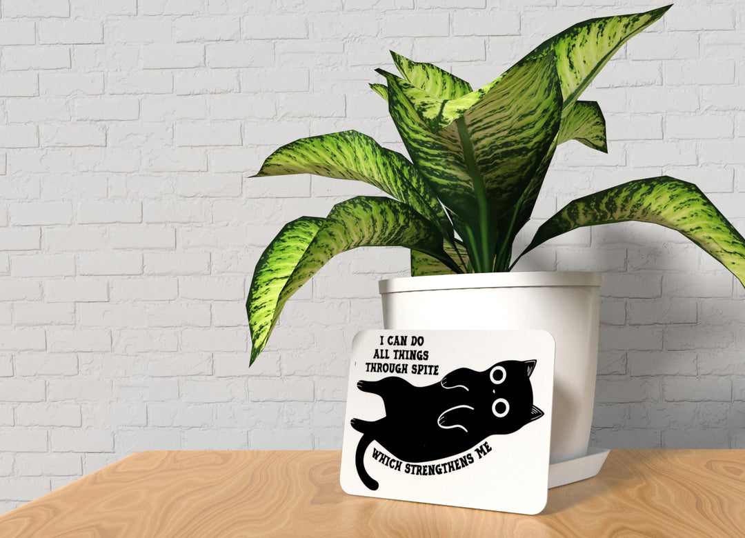 I Can Do All Things Through Spite | Funny sign For Home or Office