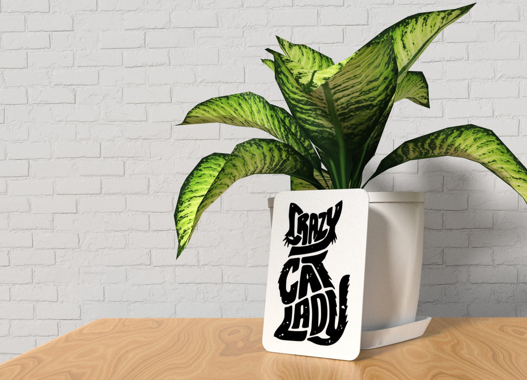 Crazy Cat Lady | Funny sign For Home or Office