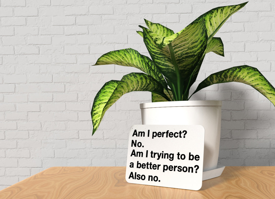 Am I Perfect No Am I Trying To Be A Better Person Also No | Funny Sign for Home