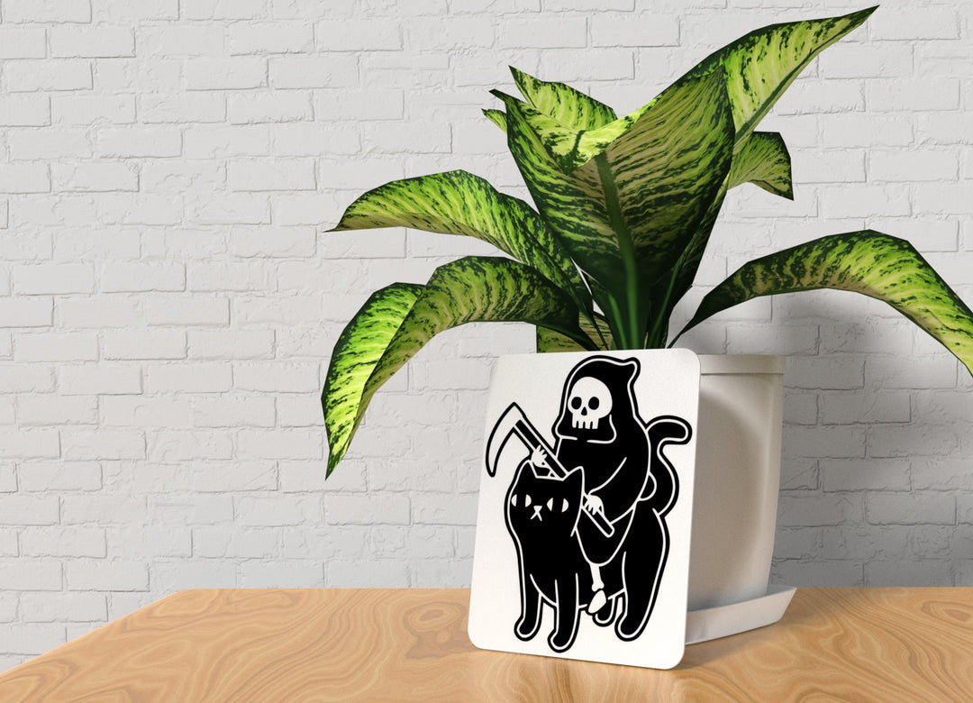 Black Cat | Funny sign For Home or Office