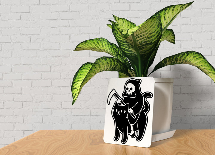 Black Cat | Funny sign For Home or Office