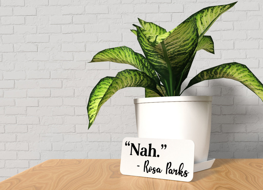 Nah Rosa Parks | Funny sign For Home or Office
