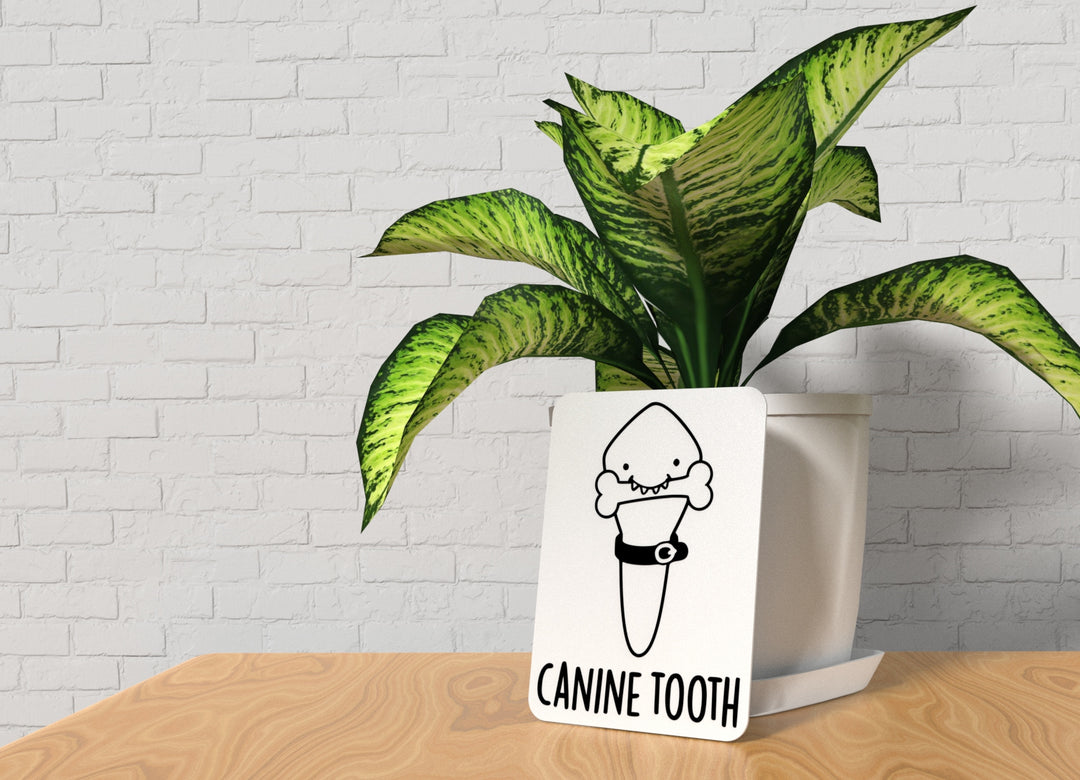 Canine Tooth | Funny sign For Home or Office