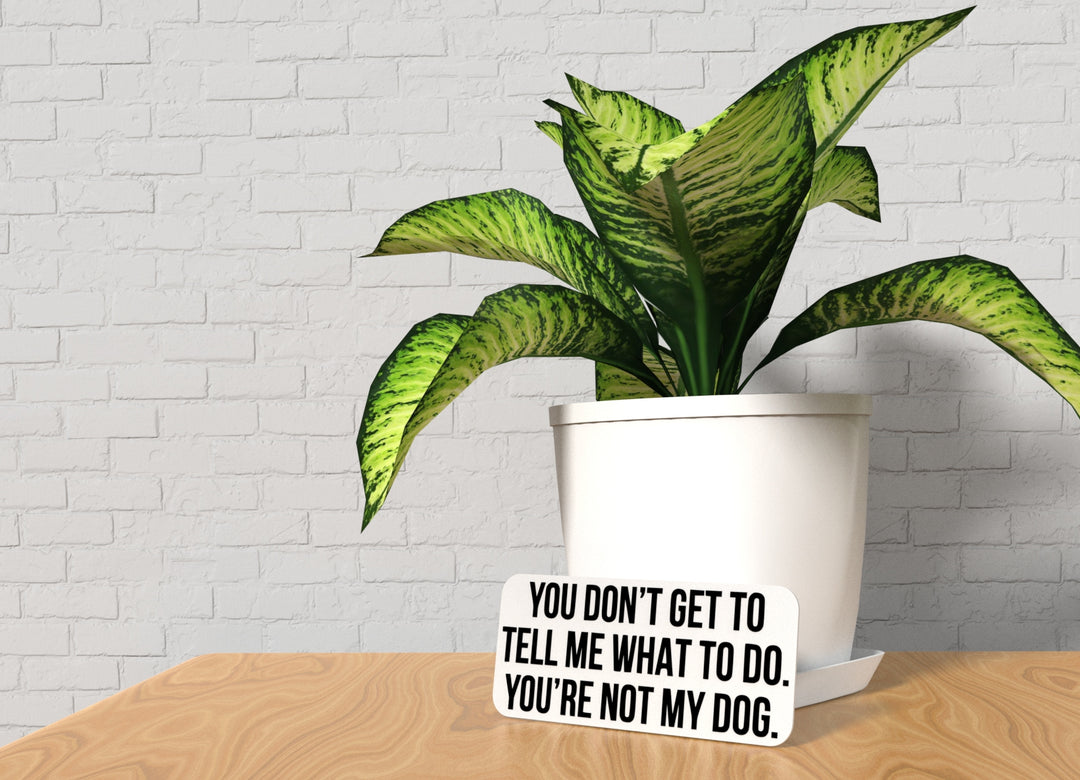You Don't Get To tell Me What To Do | Funny sign For Home or Office